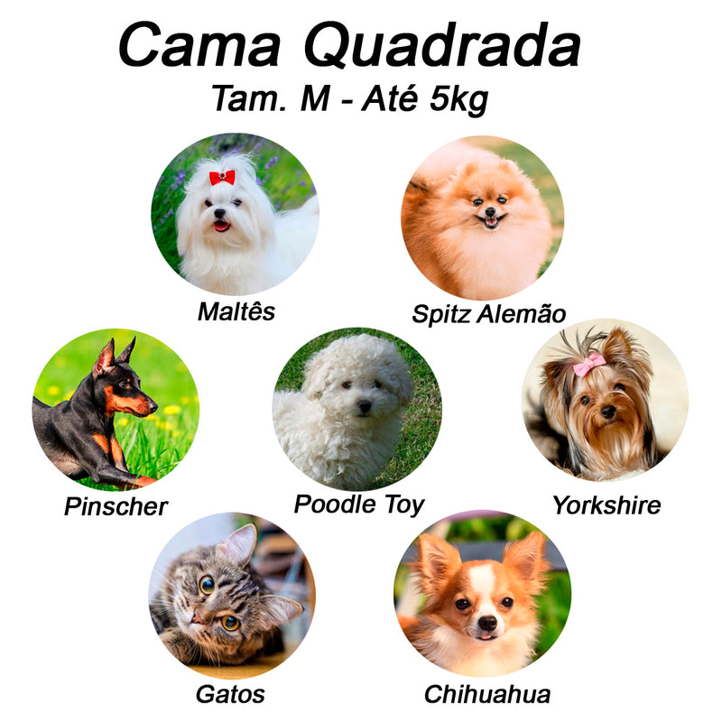 Cama para Cachorro Quadrada Impermeavel Luppet Azul Cachorrinho Tamanho:M